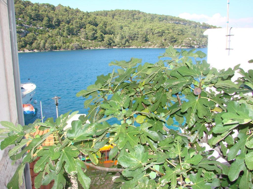 Sea House Mljet Hotel Polace Room photo